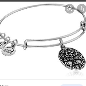 Alex and ani